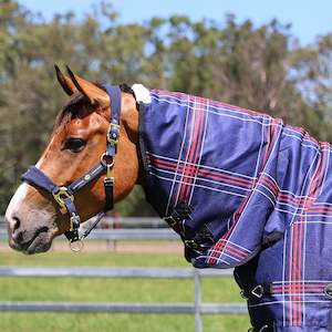 Rugs: Zilco Crusader 200 Neck Rug - 200g