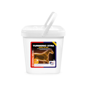 EQUINE AMERICA TURMERIC XTRA POWDER 3KG