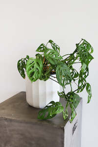 Craft material and supply: Hera Ceramic Planter (unit 4 + 12)