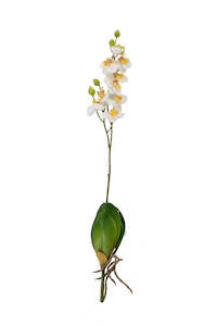 Craft material and supply: Phalaenopsis Orchid Stem - Box of 12