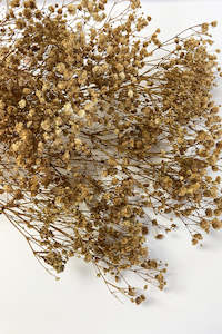 Craft material and supply: Dried Gypsophila Bunch (unit 5 + 15)