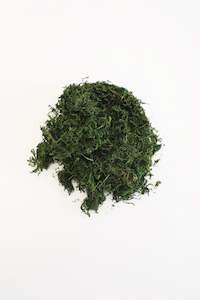 Craft material and supply: Dried Sphagnum Moss 100gms (unit 2 + 24)