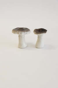 Craft material and supply: Ceramic Russula Mushroom Pair (Unit 3 + 24)