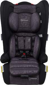 Convertible Booster Seats 6m 8y: Comfi Element