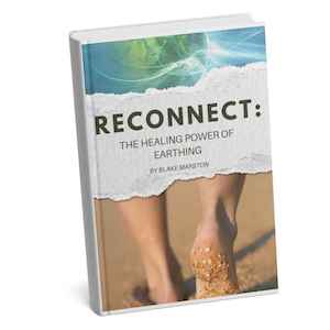 Reconnect: The Healing Power of Earthing (Hardcover) Great gift idea.