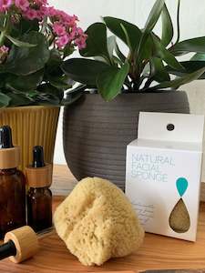 Natural Facial Sponge