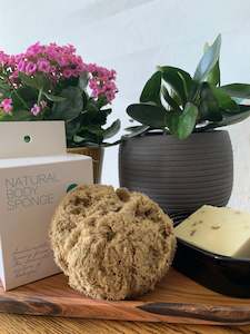 Natural Body Sponge TA