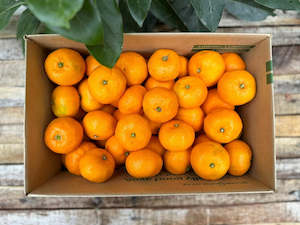 6kg Afourer Mandarins