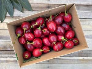 8kg Tamarillo Box - Field Grade