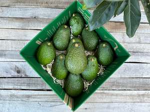 Grocery supermarket: 10 Large Avocados