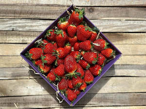 1.5KG Strawberries - Urban Addresses Only