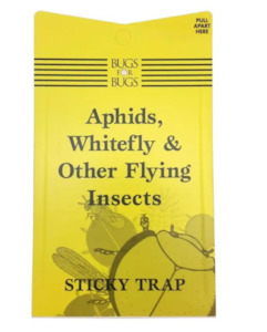 Garden supply: Yellow Sticky Trap x5 Pack