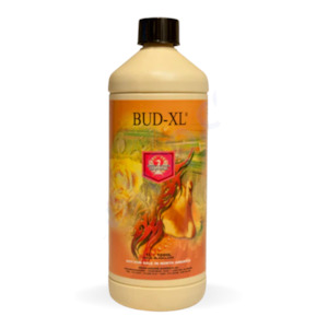 House & Garden Bud XL 500ml