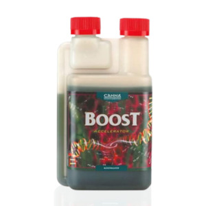 Boost Accelerator 250ml Canna