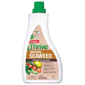 Thrive Natural Seaweed Tonic Concentrate 1 Litre