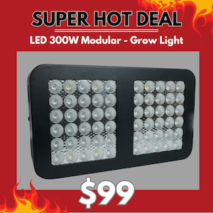 LED 300w Modular - Grow Light