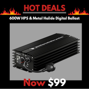 Garden supply: 600w Digital Ballast HPS & Metal Halide- Adjustable Output 250w to 690w - GHP