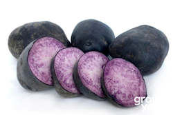 Vegetable Seeds: Potato ‘Purple Heart’