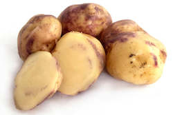 Vegetable Seeds: Māori Potato ‘Huakaroro’