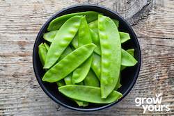 Snow Pea âOregon Giantâ