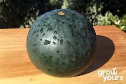 Fruit: Watermelon âSugar Babyâ