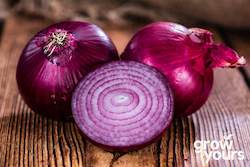 Vegetable Seeds: Onion âRed Burgundyâ