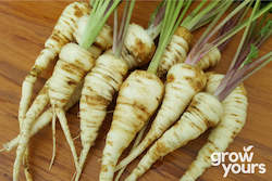 Vegetable Seeds: Parsnip âHollow Crownâ