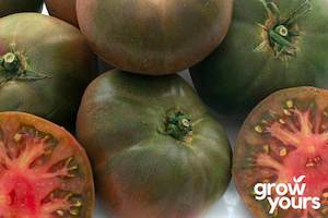 Tomato ‘Black Krim’