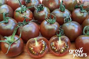 Heirloom Tomato Seeds: Tomato ‘Black Cherry’