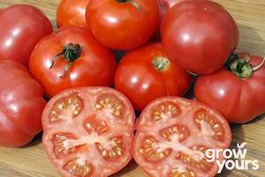 Tomato ‘Mortgage Lifter’