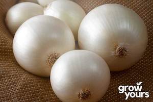 Vegetable Seeds: Onion ‘White Sweet Spanish’