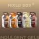 Gu Energy Indulgent Mixed Box of 10 Gels