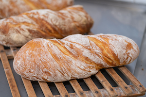 Bakery (with on-site baking): Sourdough Ciabatta