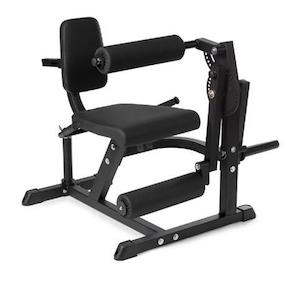 Leg Extension and Curl Machine