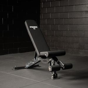 V3 Adjustable Bench