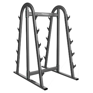 Sporting good wholesaling - except clothing or footwear: Barbell Rack