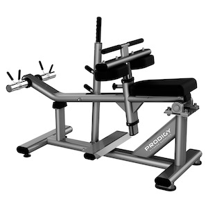 Seated Calf Machine