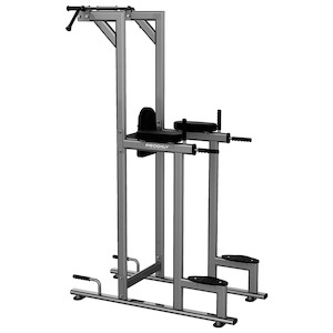 Vertical Knee Raise Machine