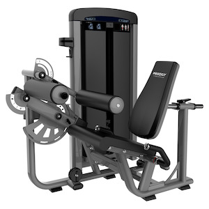 Sporting good wholesaling - except clothing or footwear: Hamstring Curl Machine