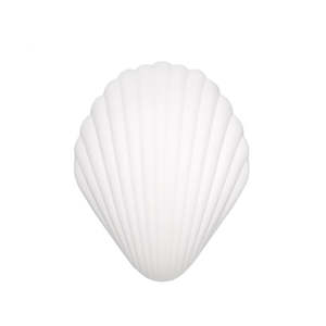 Shell Massager