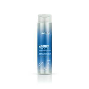 Joico Moisture Recovery Shampoo