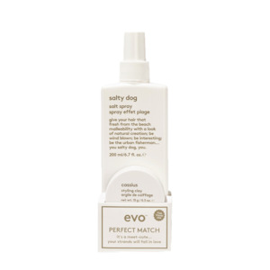 Hair care: Evo Perfect Match - Salty Dog 200ml + Cassius 15g Gift Pack