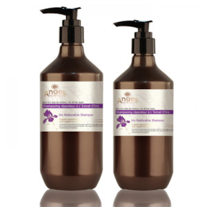 Dancoly Angel En Provence Iris Restorative Shampoo · HairOnline