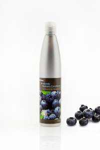 Cosmetic: InVision Blueberry Conditioner