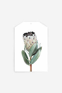 Womenswear: Gift Tag | Protea