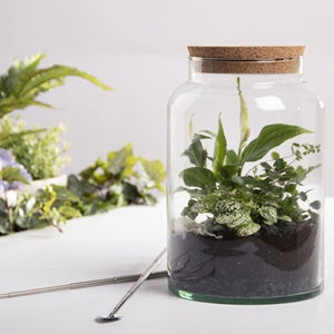 Terrarium Half Open Bottle Med 7L