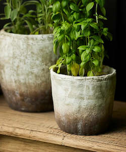 Womenswear: Marron Planter Pot