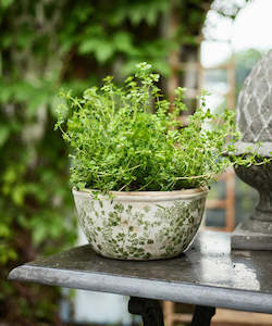 Womenswear: Botanical Wide Pot