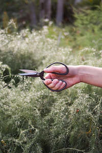 Womenswear: Iron Herb Scissors