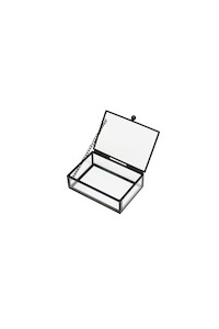 Glass Display Box (Mini 10 x 3cm)